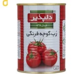 کنسرو رب گوجه فرنگی دلپذیر وزن 400 گرمی - 24 عدد