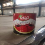 معرفی رب گوجه تیناب در بسته بندی 225 کیلوگرمی