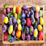 لیست قیمت انواع میوه های تابستانی در تره بار