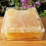 خرید عسل طبیعی با موم در اصفهان