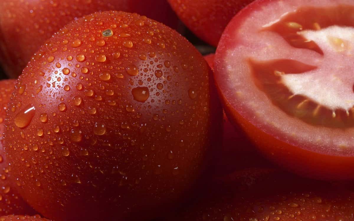 سفارش عمده گوجه فرنگی صادراتی با قیمت مناسب