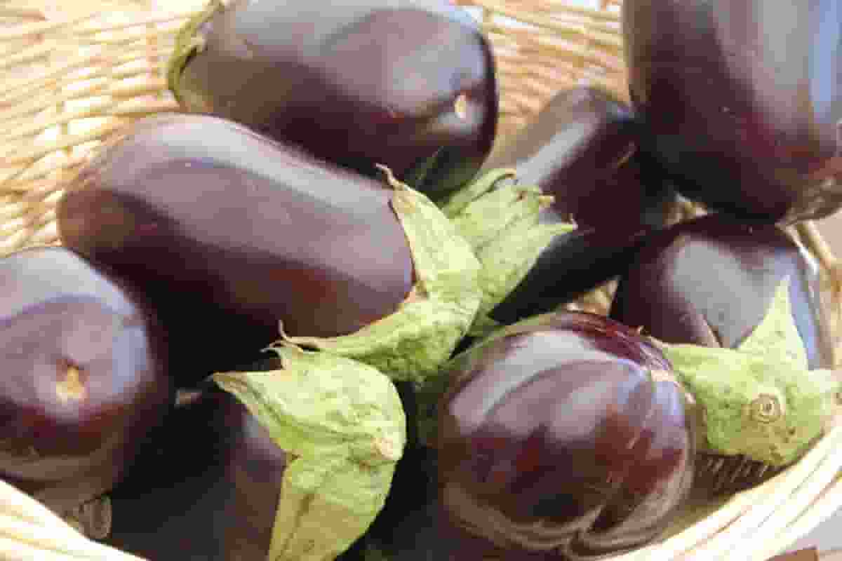 eggplant-recipes-to-keep-cholesterol-under-control-the-wellthy-magazine