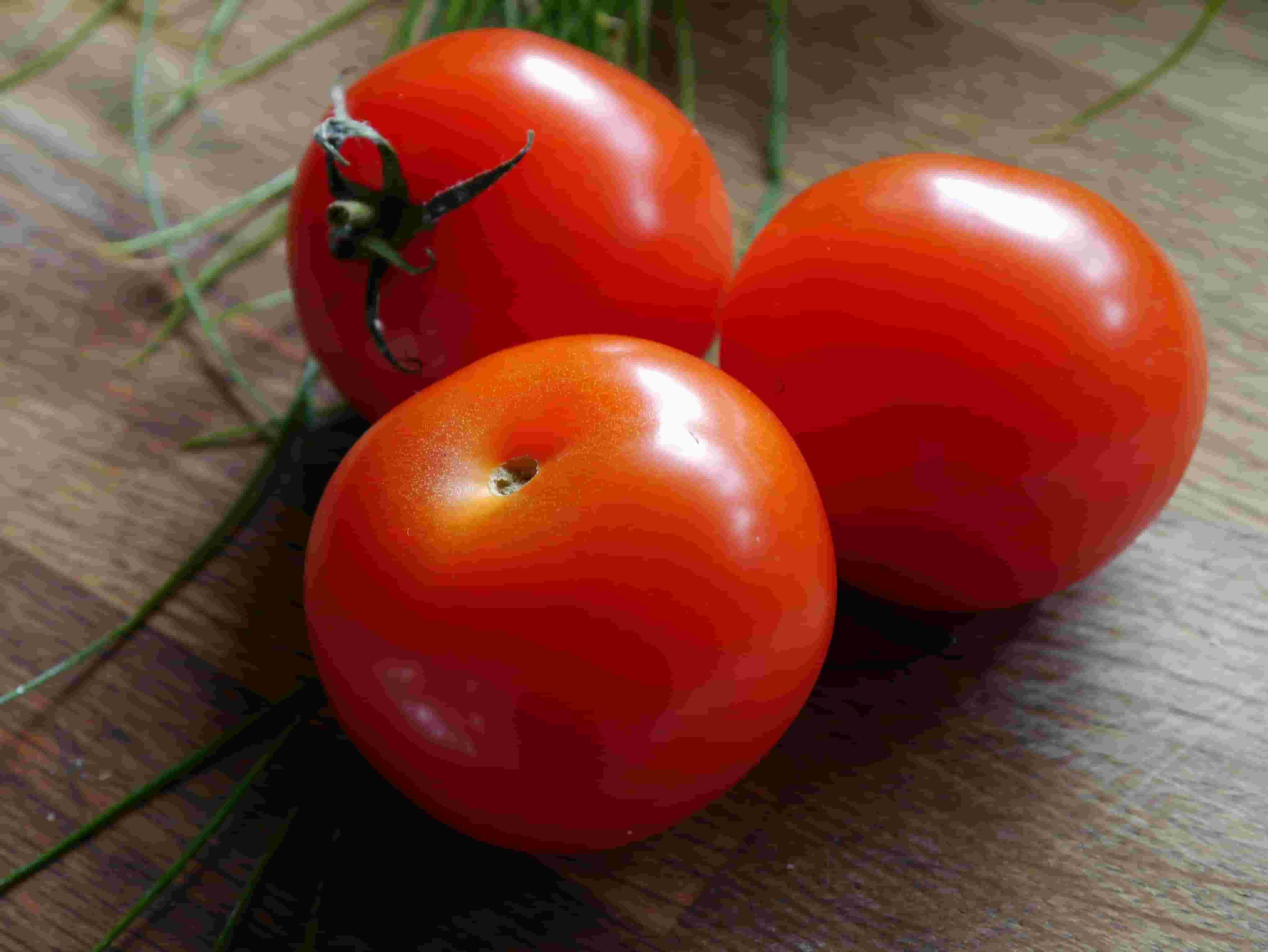 فروش بهترین گوجه فرنگی ارگانیک در بازار تره بار