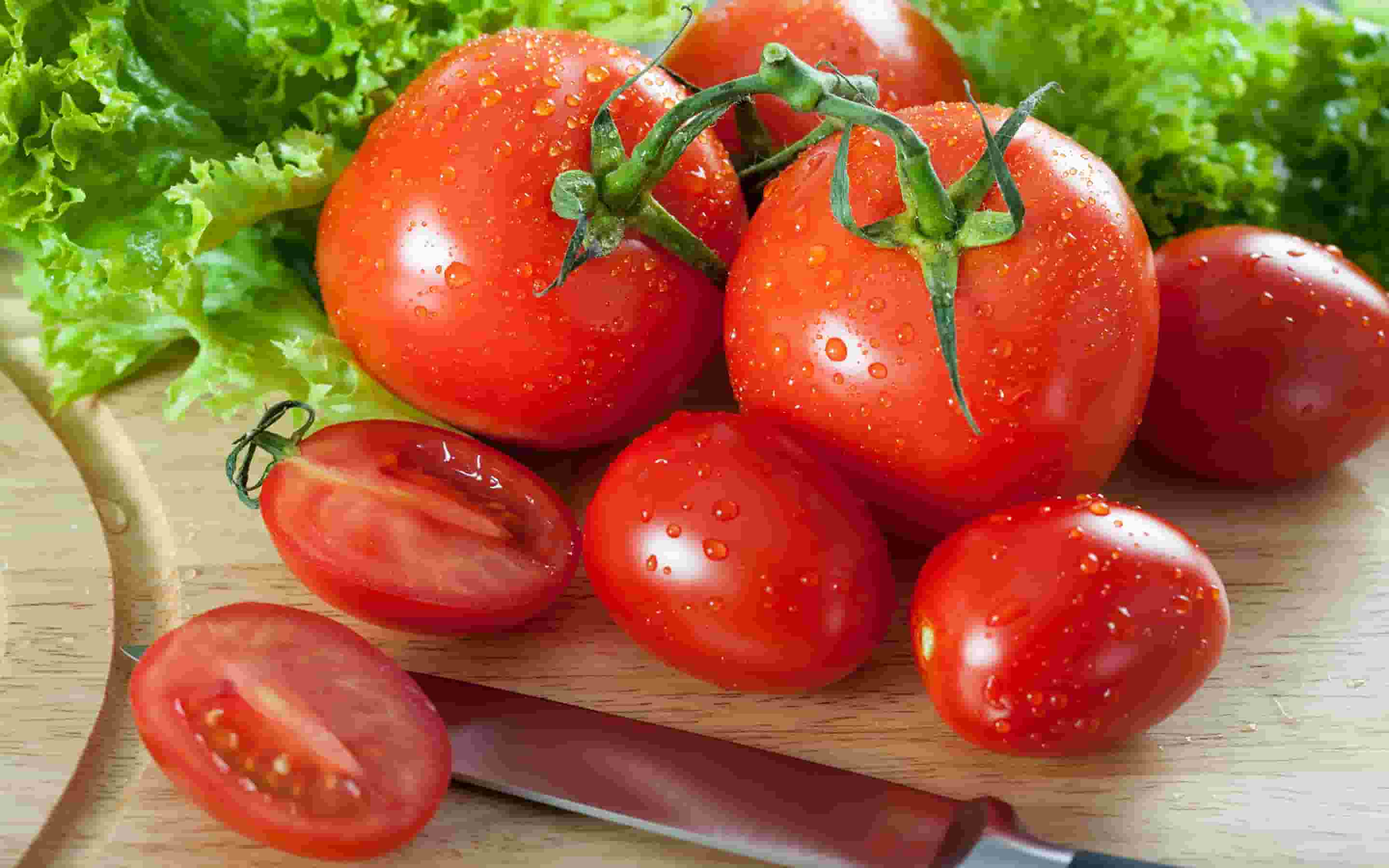 lolik-pomidor