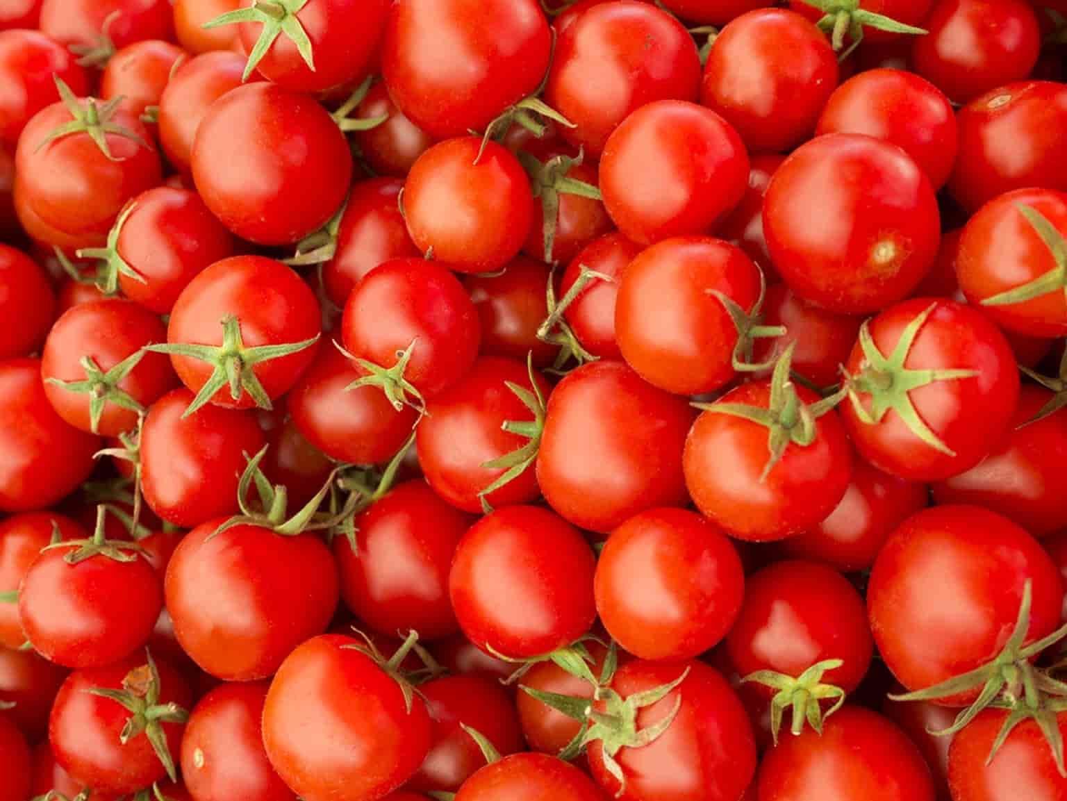 kiril-mischeff-product-tomato-1536x1153