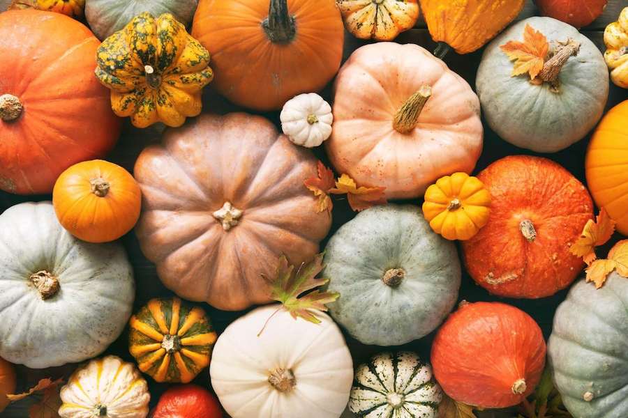 pumpkin-varieties©iStock