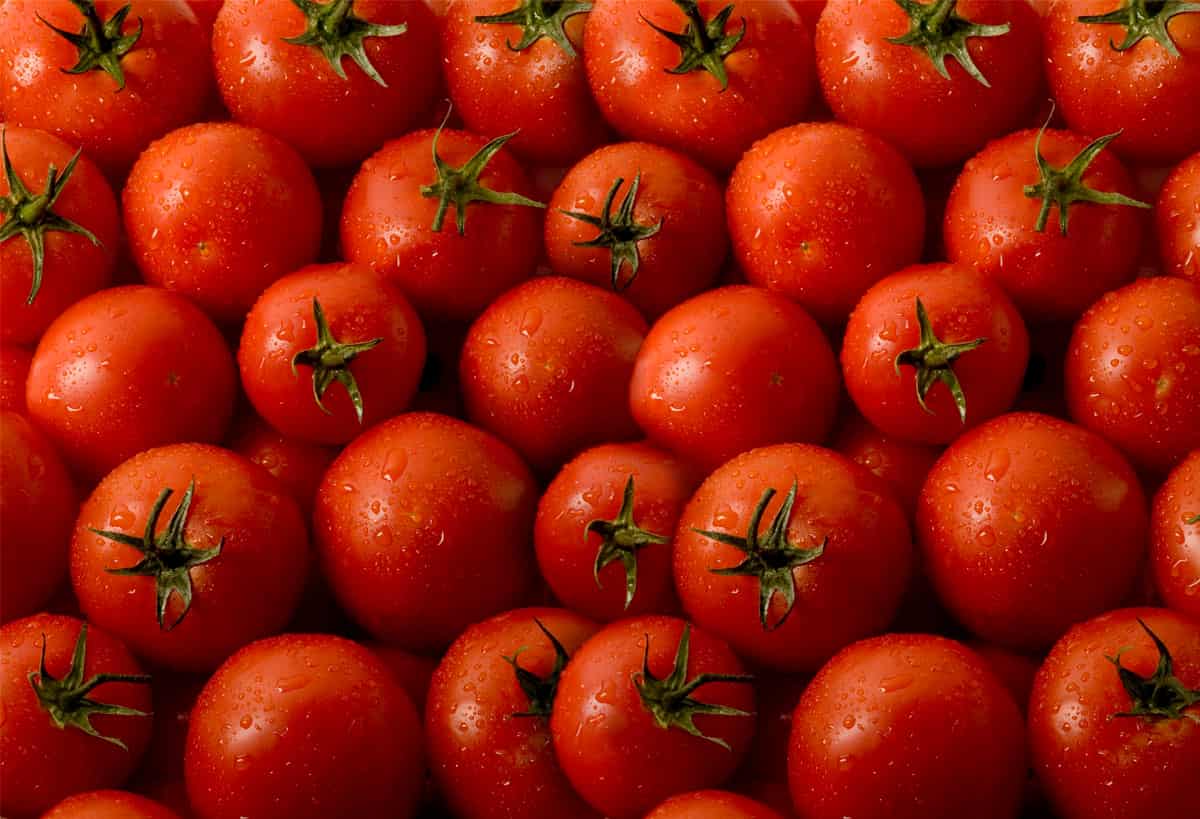 tomatoes_PNG5221