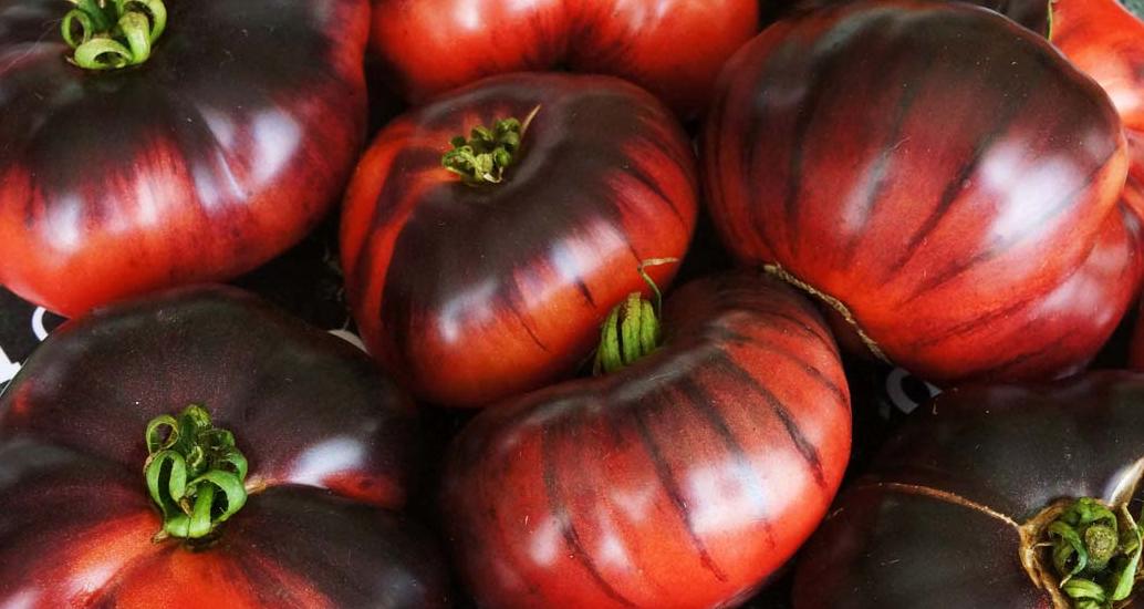 خرید عمده گوجه فرنگی سیاه از بازار تره بار