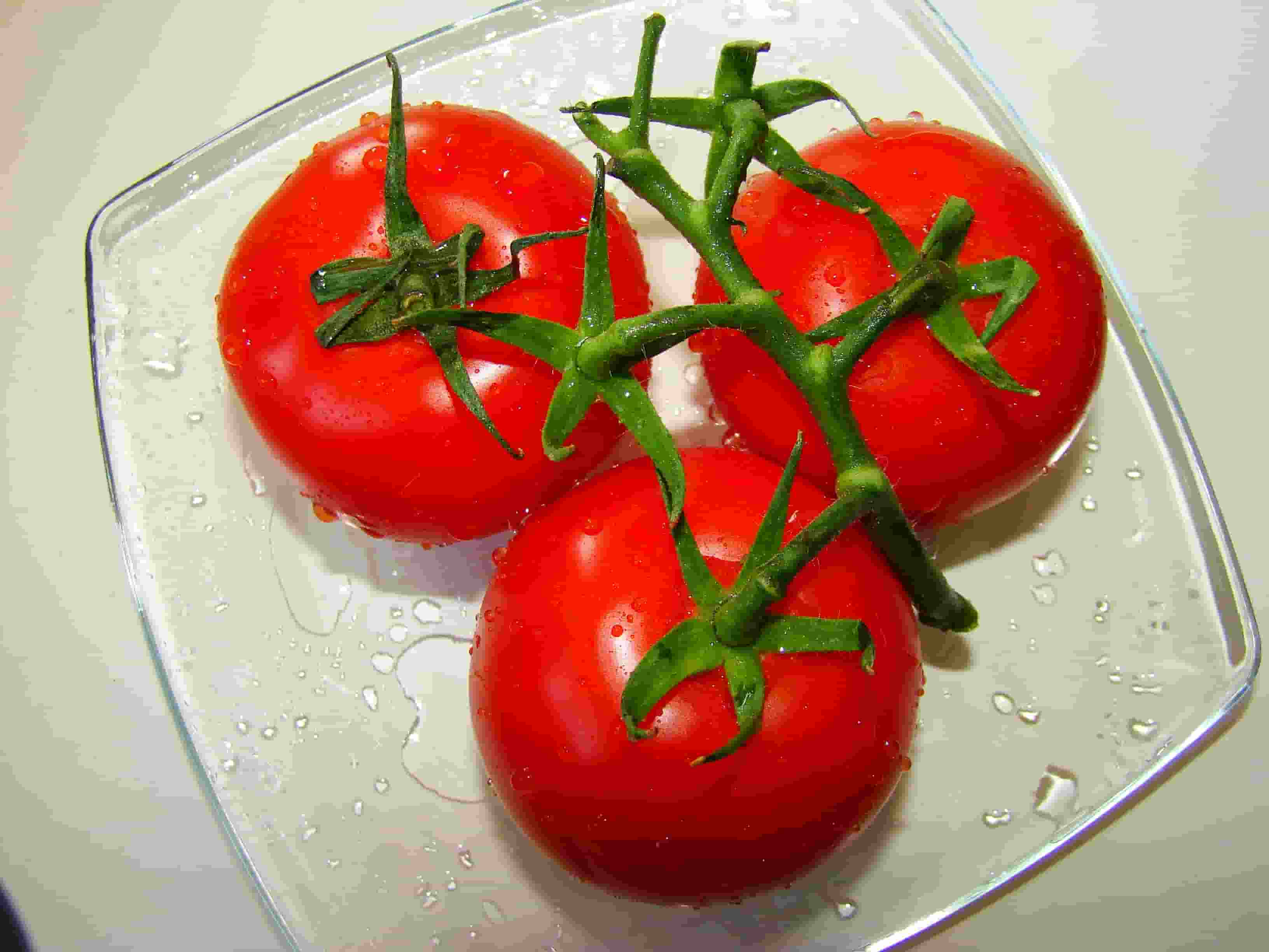 1662874503_19-klubmama-ru-p-applikatsiya-pomidor-foto-23