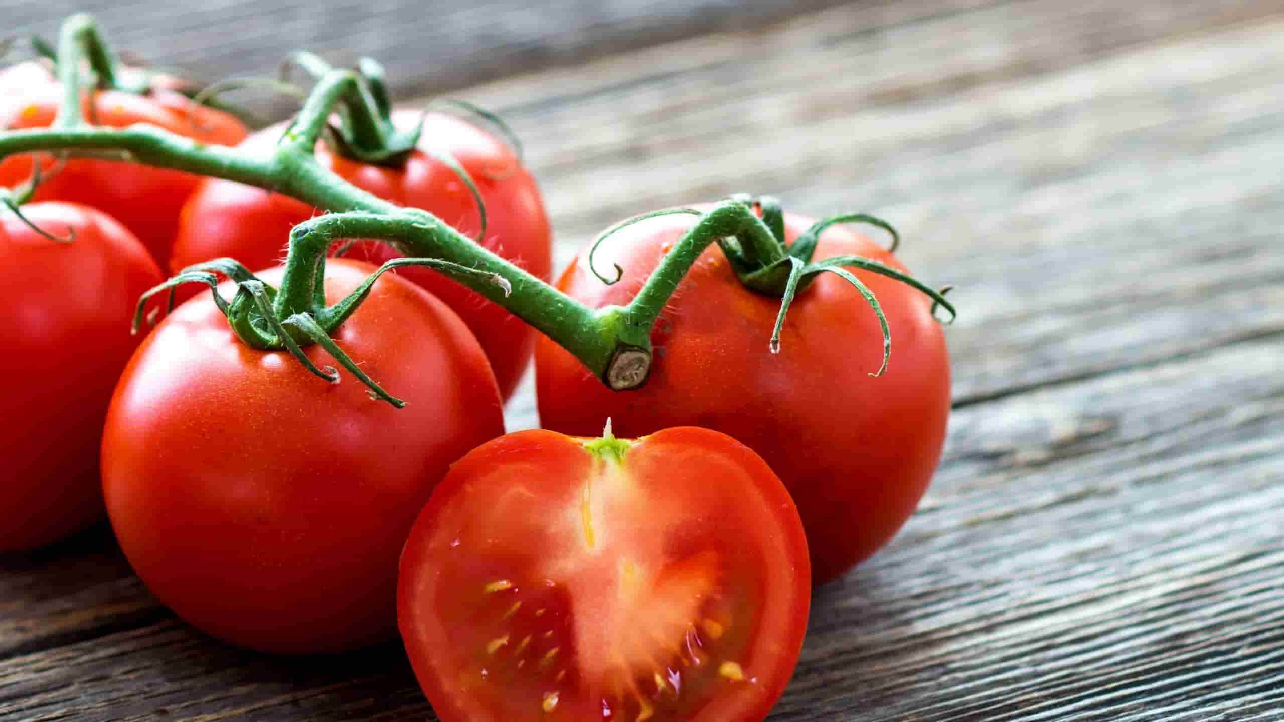 tomatoes-on-vine-scaled-e1620149115857