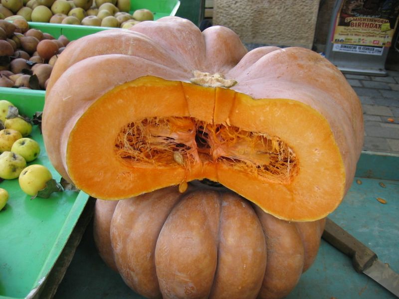 pumpkin-uses-nutritional-and-health-benefits