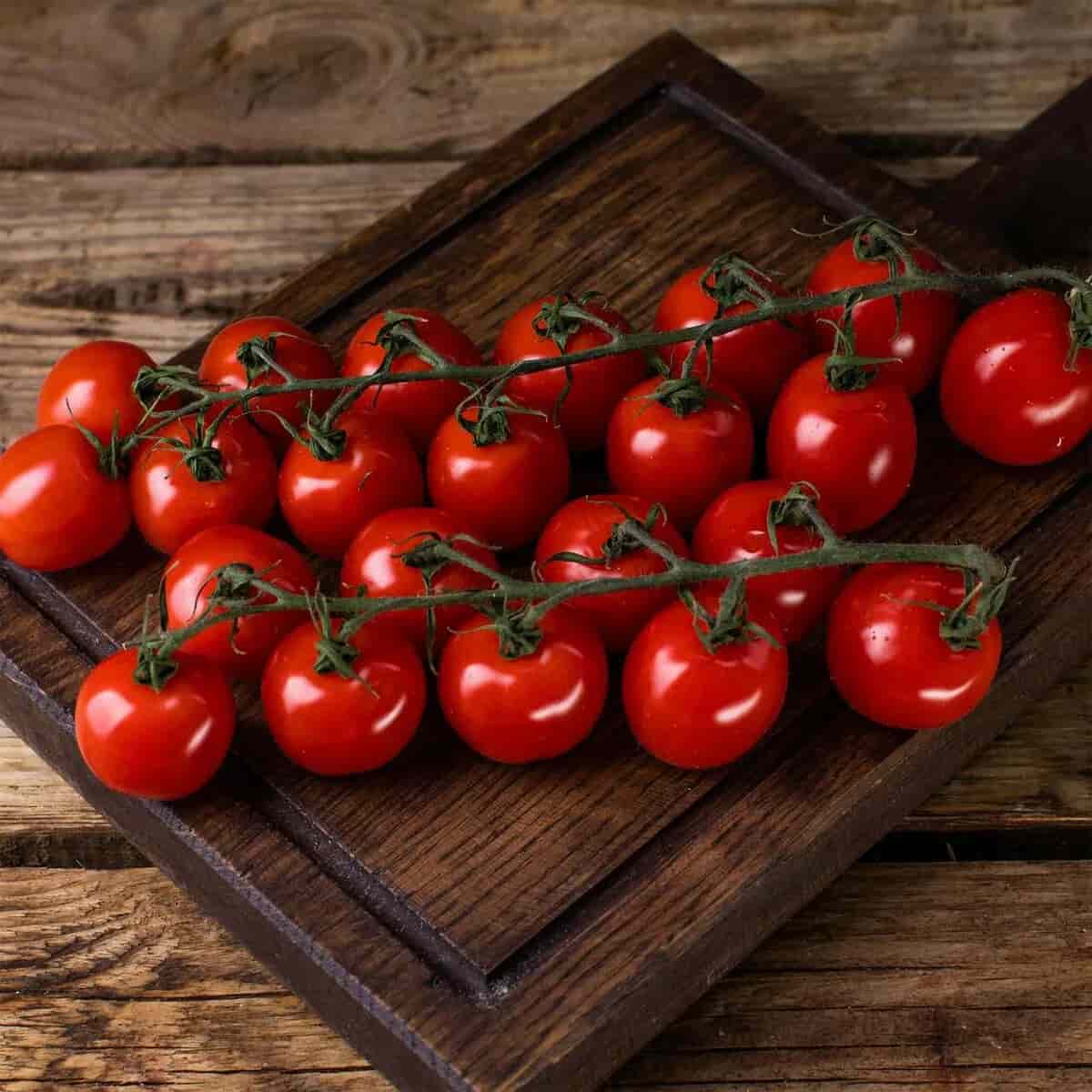 قیمت خرید گوجه فرنگی مینیاتوری سالم در جنوب کشور