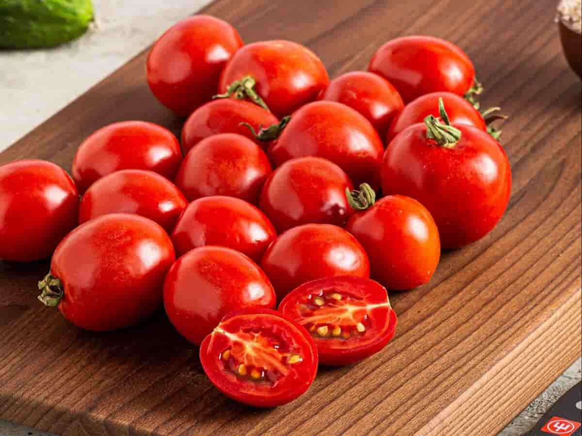 خرید ارزان گوجه فرنگی کبابی شیرین از میدان تره بار