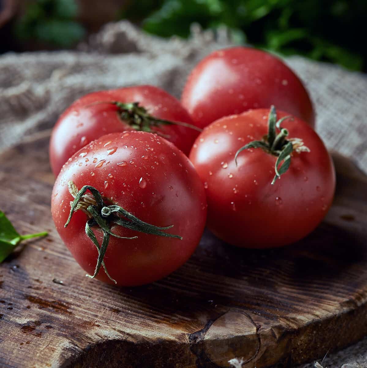فروش کلی گوجه فرنگی درشت بسته بندی با قیمت اقتصادی