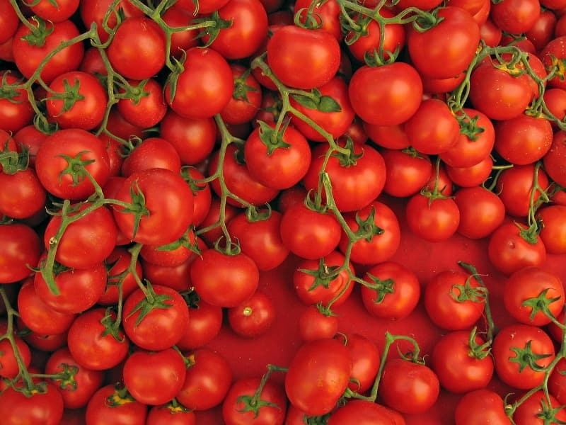 tomatoes_PNG5184