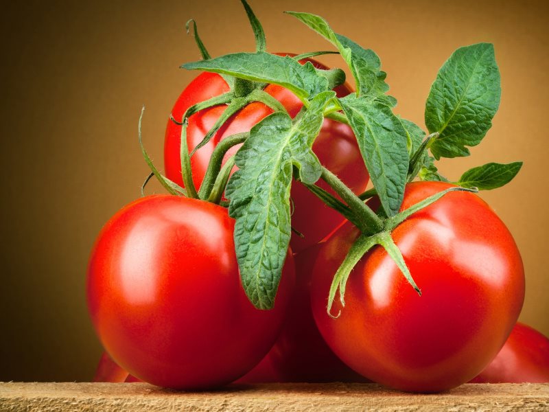 خرید گوجه فرنگی گلخانه ای با پایین ترین قیمت بازار