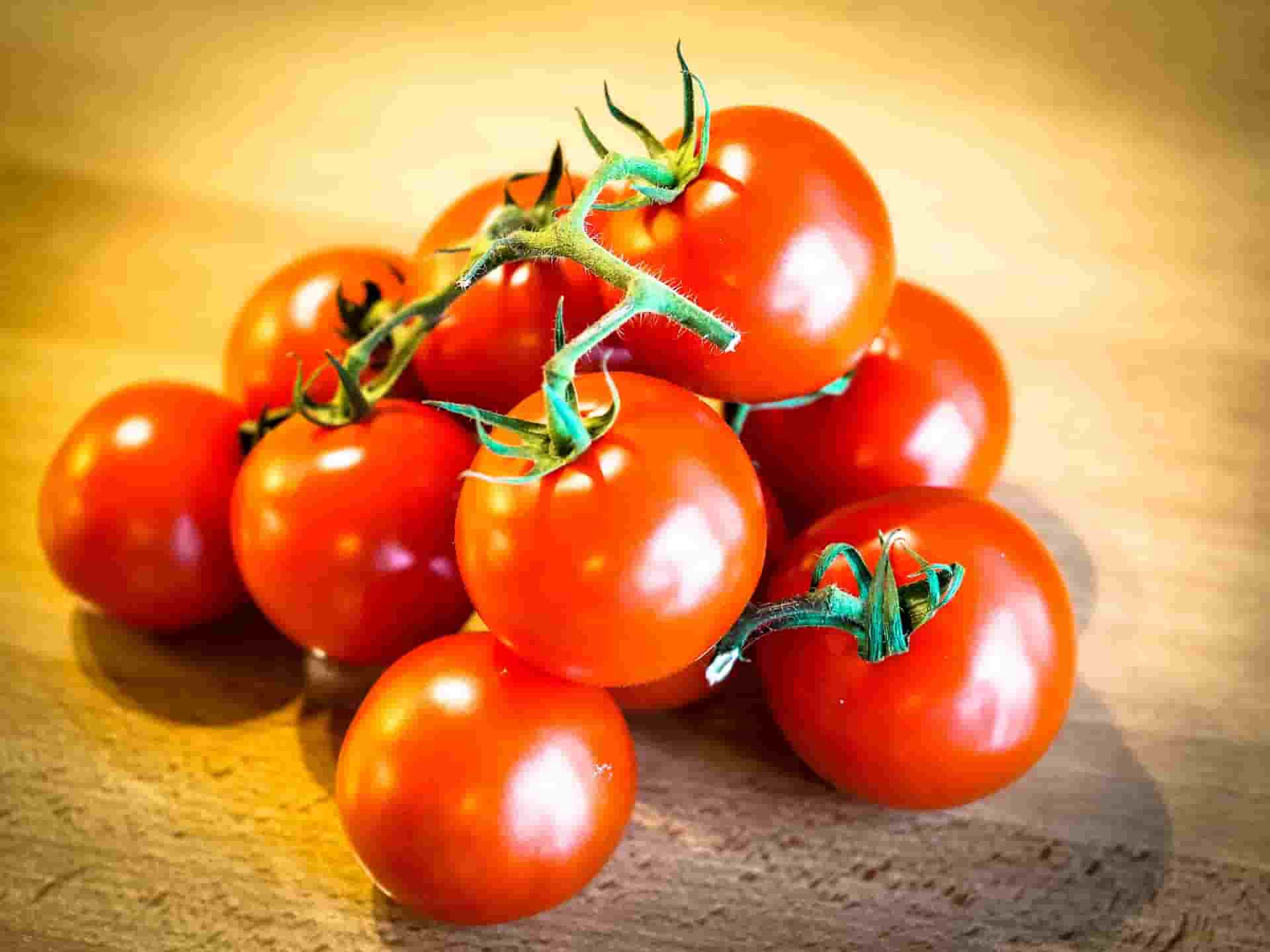 tomatoes-949086_1920