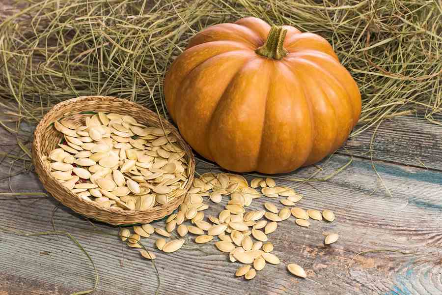 pumpkin-seeds-for-planting