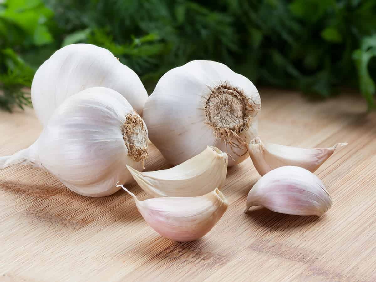 garlic-prices-causing-stink-1200