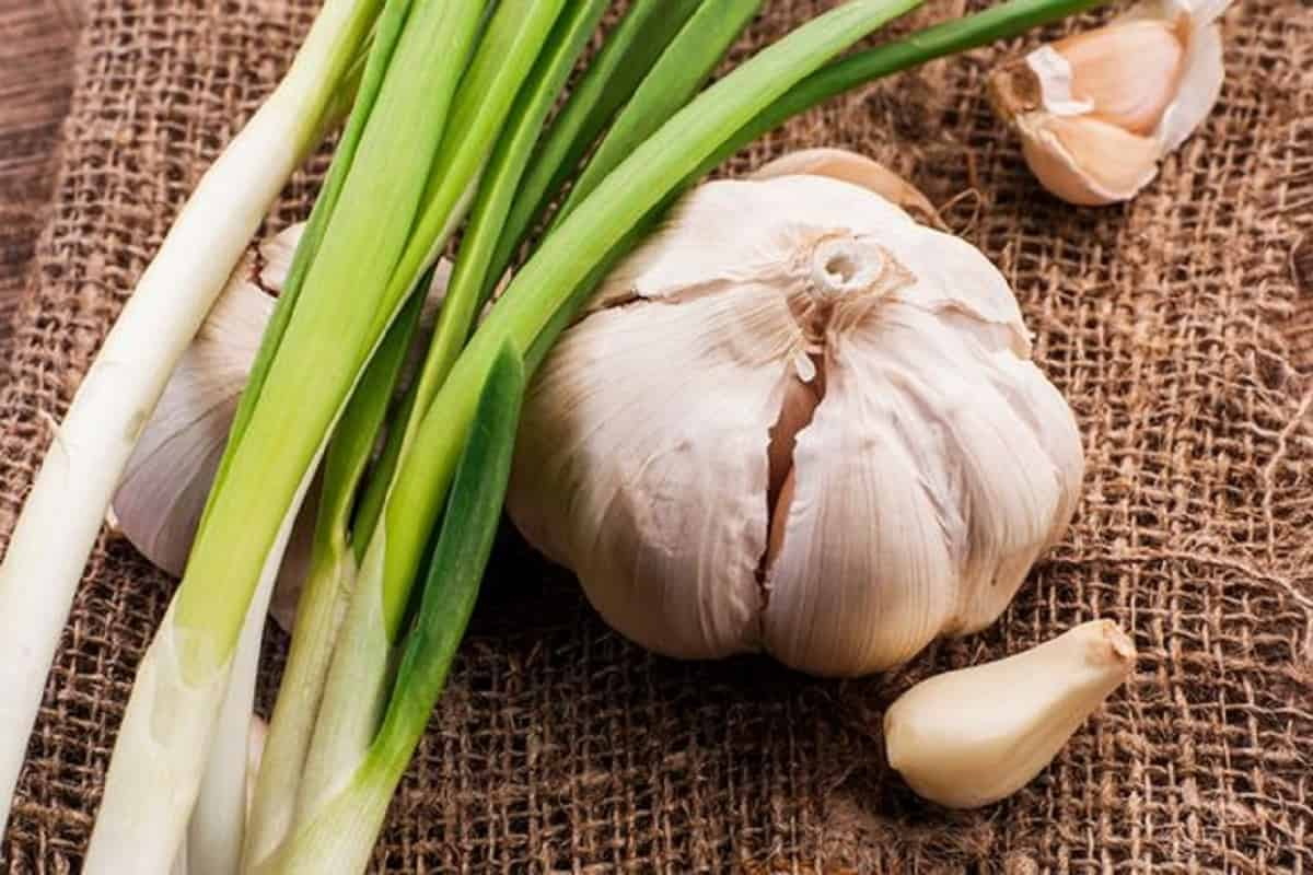7-Tips-to-Get-Rid-of-Garlic-Breath