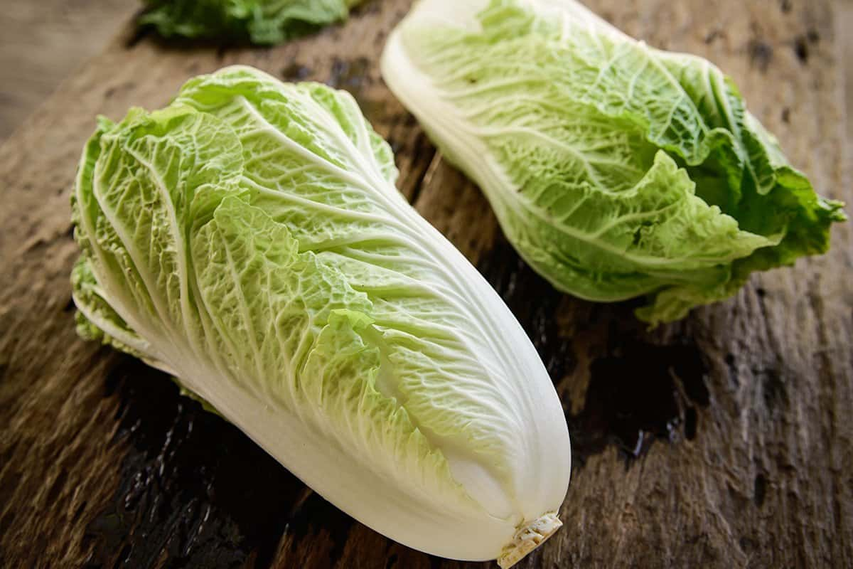 Chinese-cabbage-shutterstock_279244529