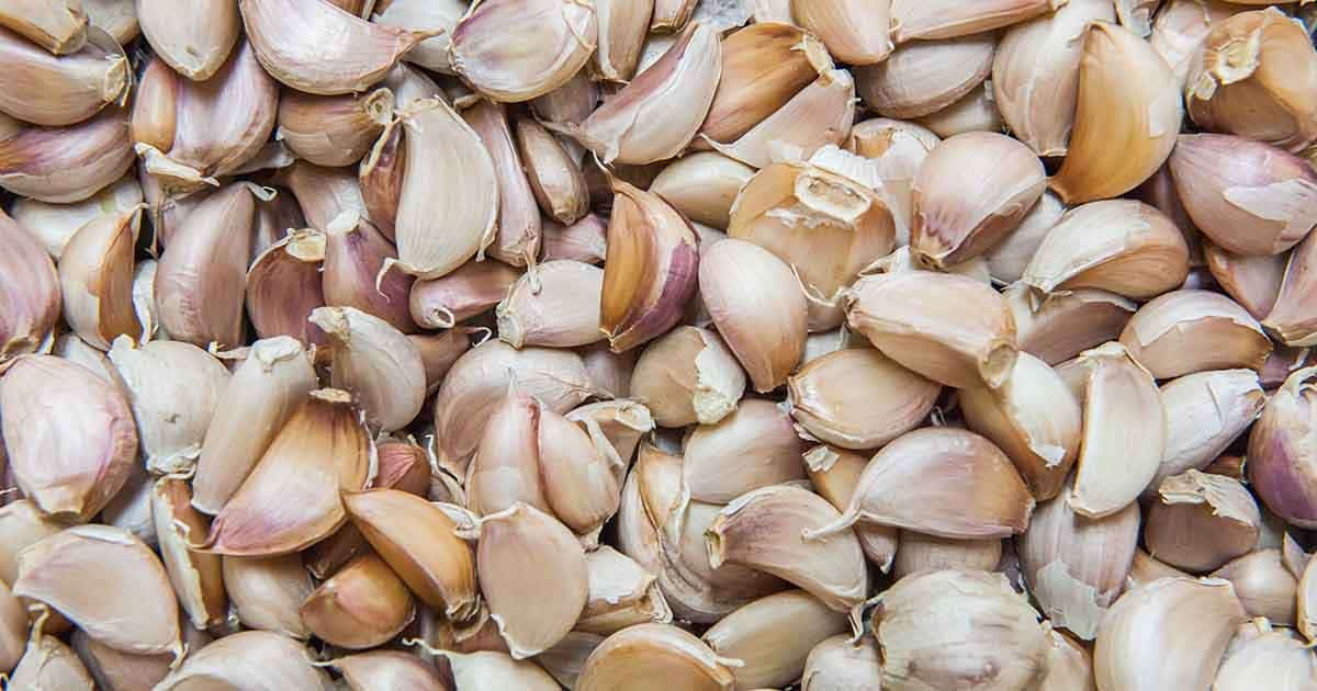 garlic-benefits