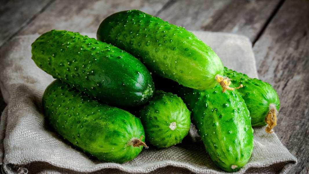 fresh-organic-cucumbers-on-sacking