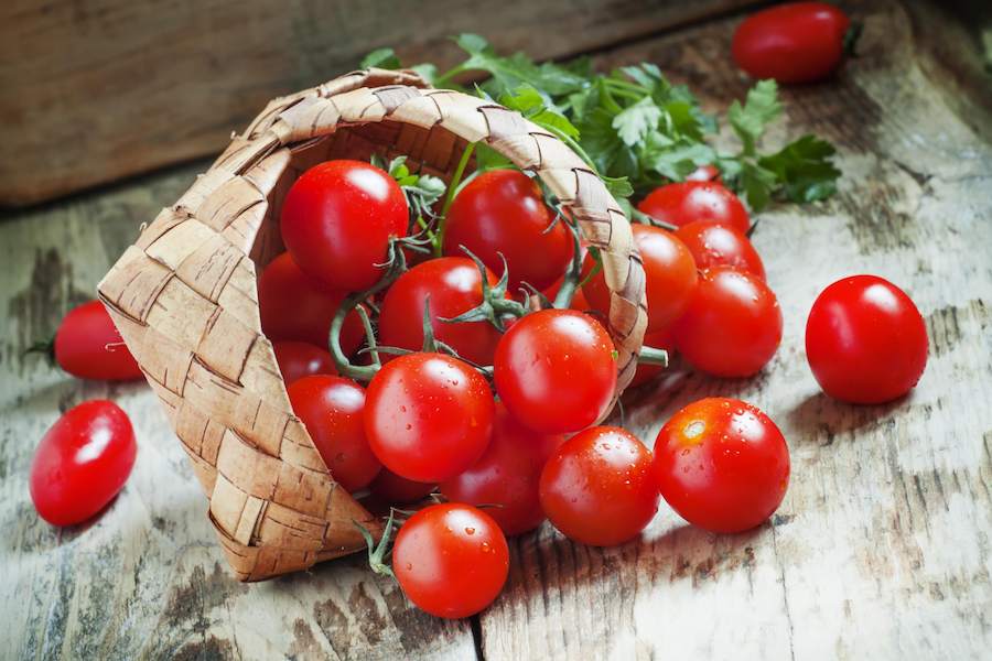 basket_of_cherry_tomatoes_on_wood_362526863