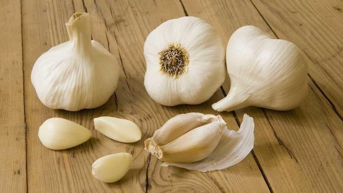 za-what-is-a-garlic-supplement-promo-image (1)