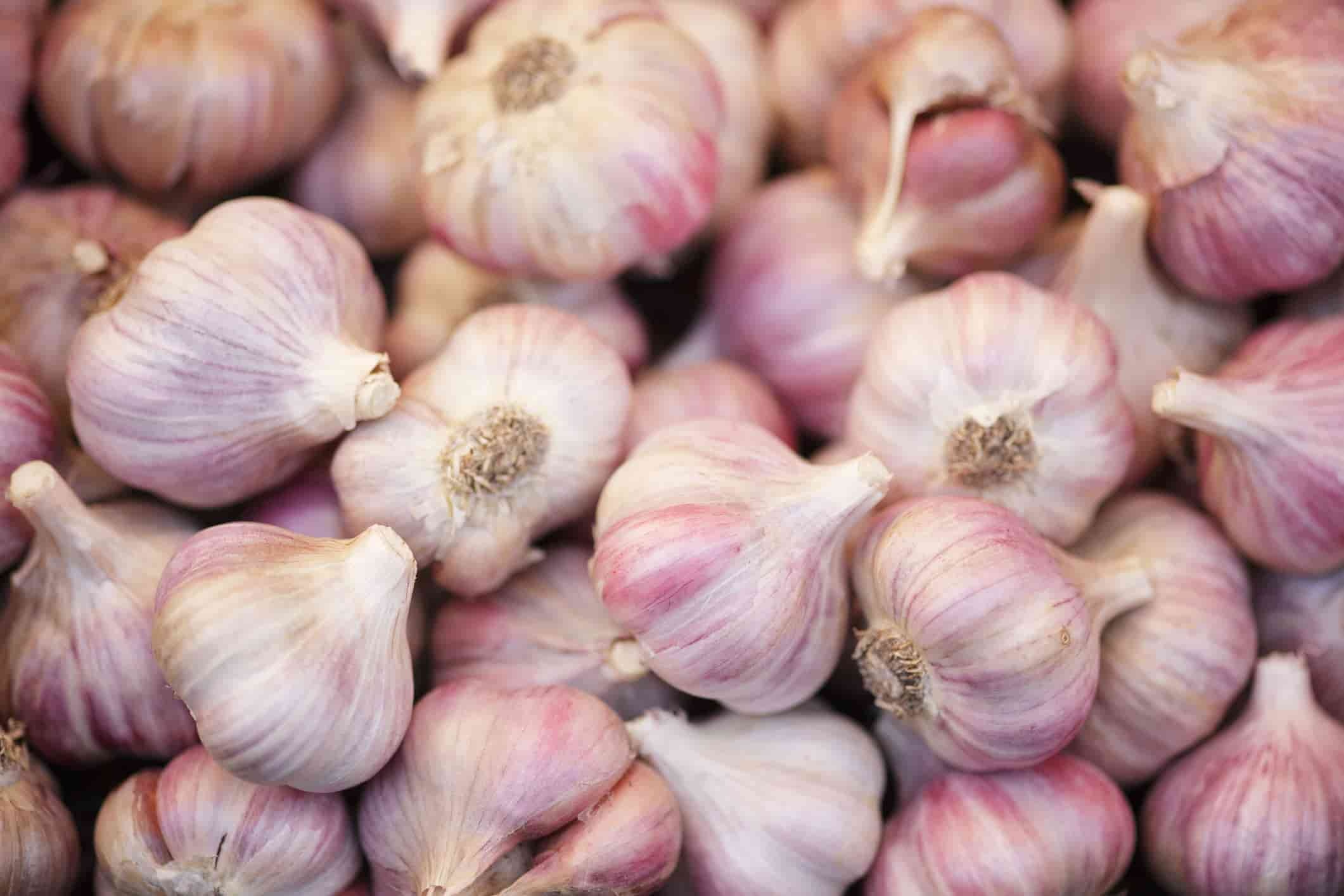 produce_to_perfection_garlic