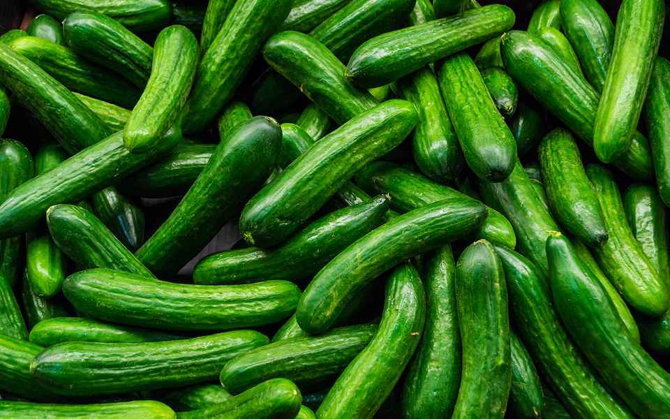 DandenongMarket-Cucumber