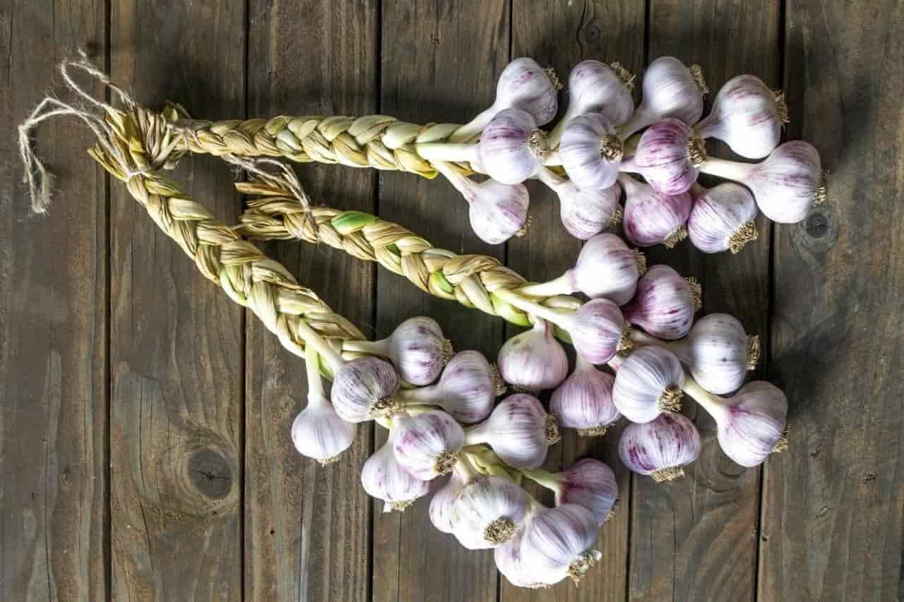 the-benefits-of-garlic-01
