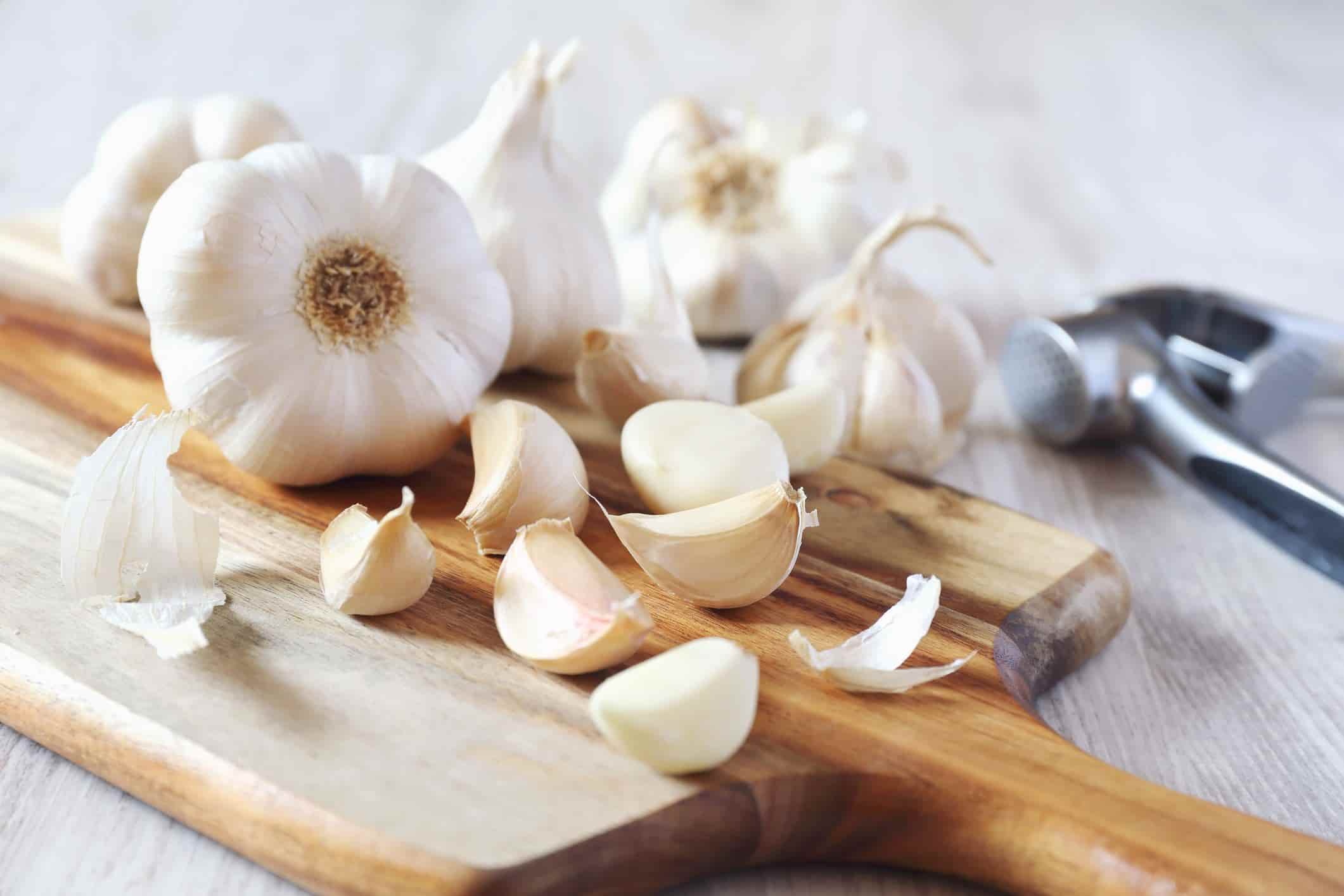garlic-Properties4