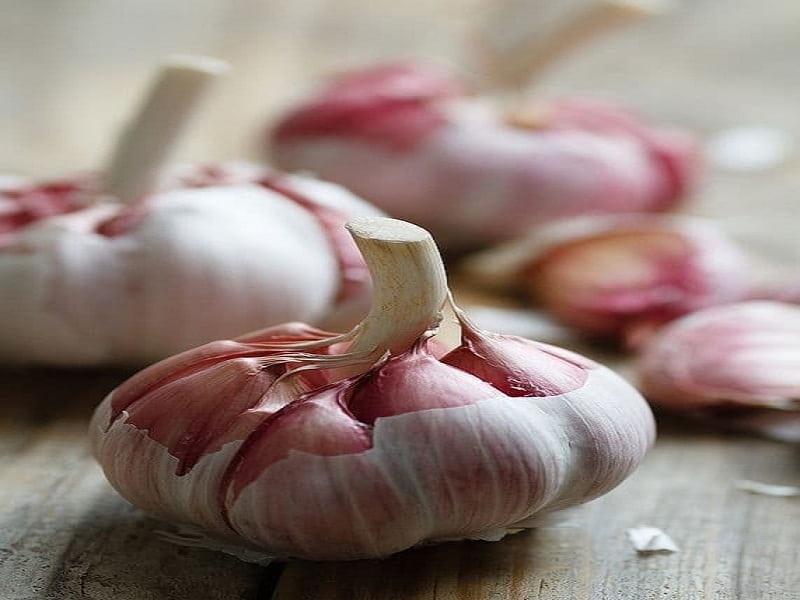 the-benefits-of-garlic-03