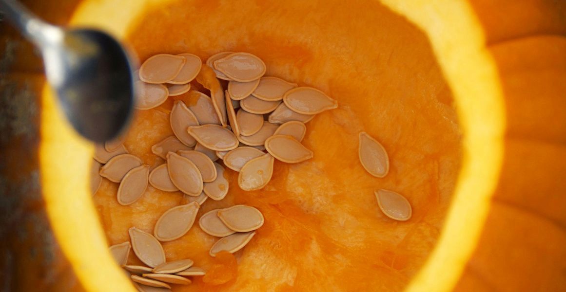 pumpkin-seeds-2-opt-1 (1)