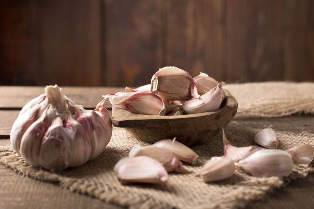 garlic-types-artichoke-garlic-