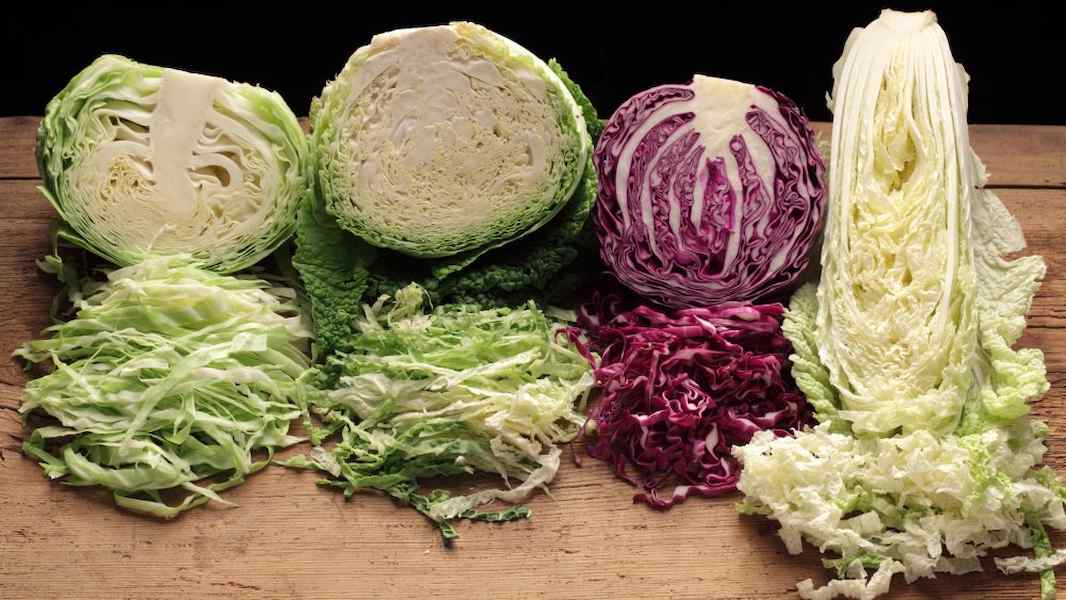 how-to-differentiate-between-these-four-common-cabbage-varieties-1588611813