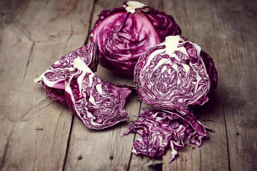 Red-Cabbage (1)