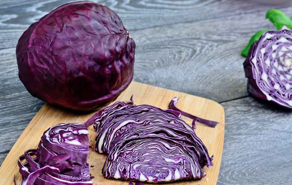 Red-Cabbage-Website