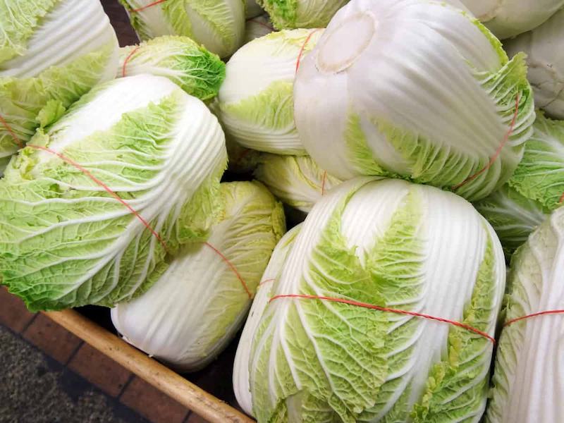 napa-cabbages1