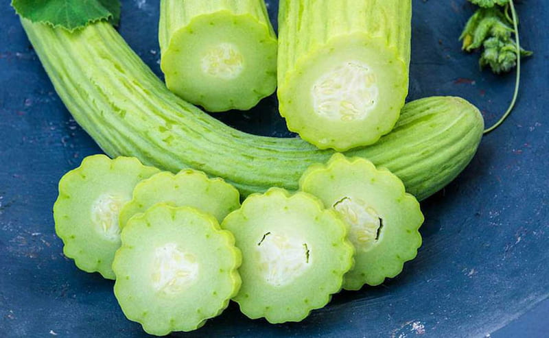 Armenian-cucumber15