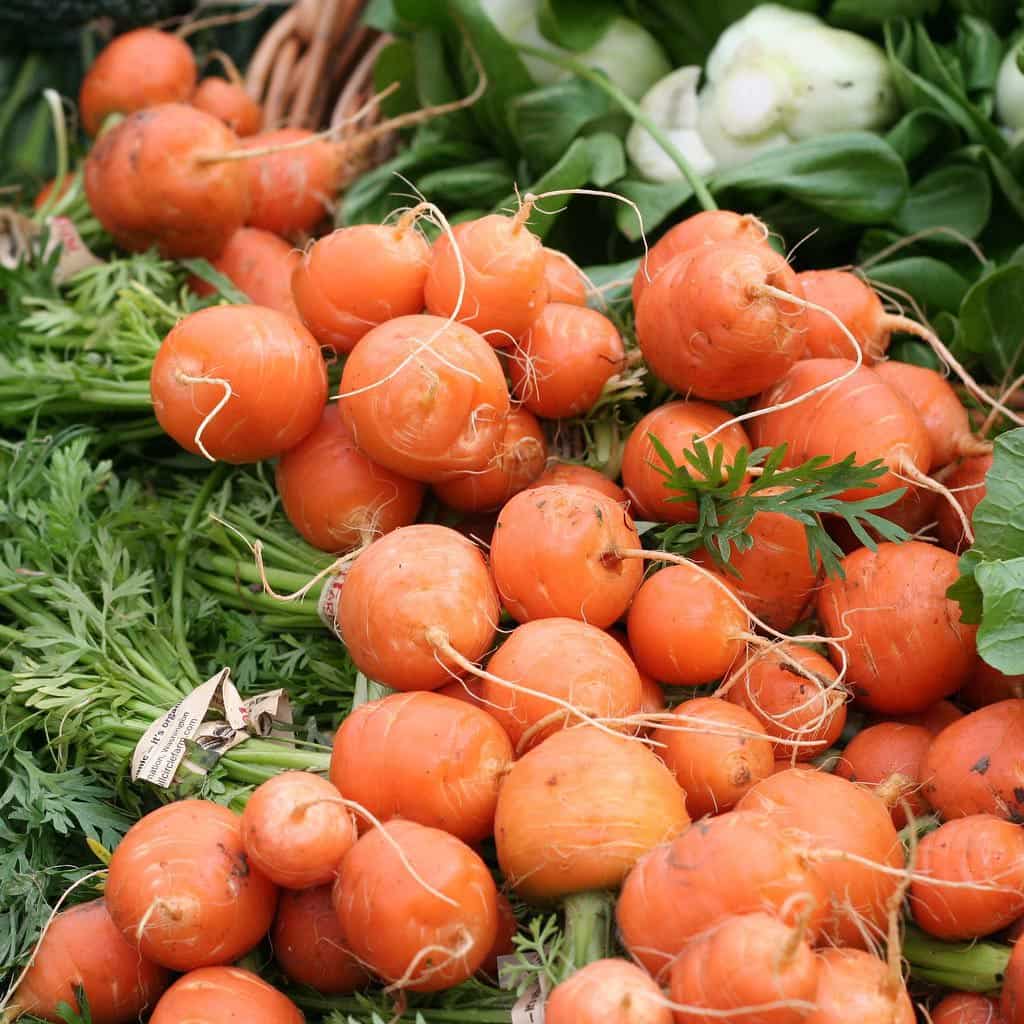 بذر-هویج-گرد-اطلس-هویج-نارنجی-گرد-بیبی-کروت-Baby-Carrot-atlas-carrotگلس-گاردن-5