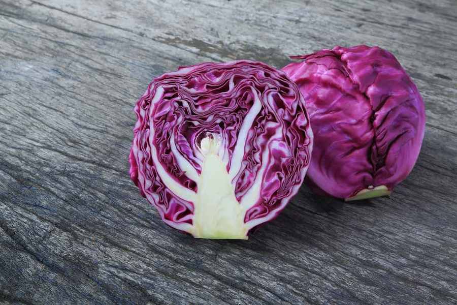 red-cabbage-benefits