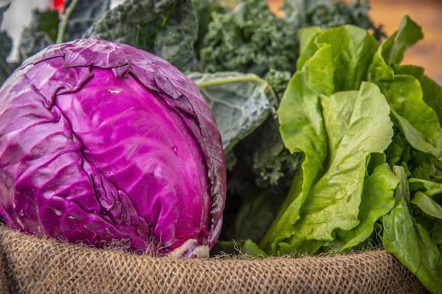 red-cabbage-health-benefits-anthocyanins-and-indicator-fun