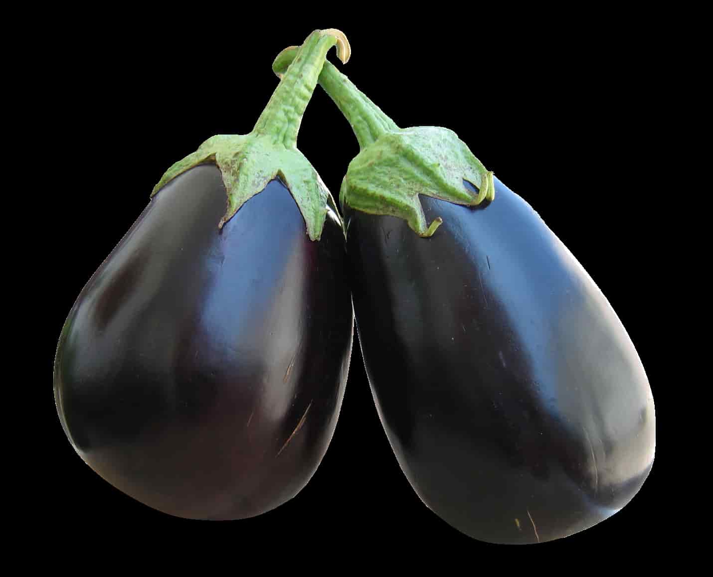 eggplant-picture-download-1