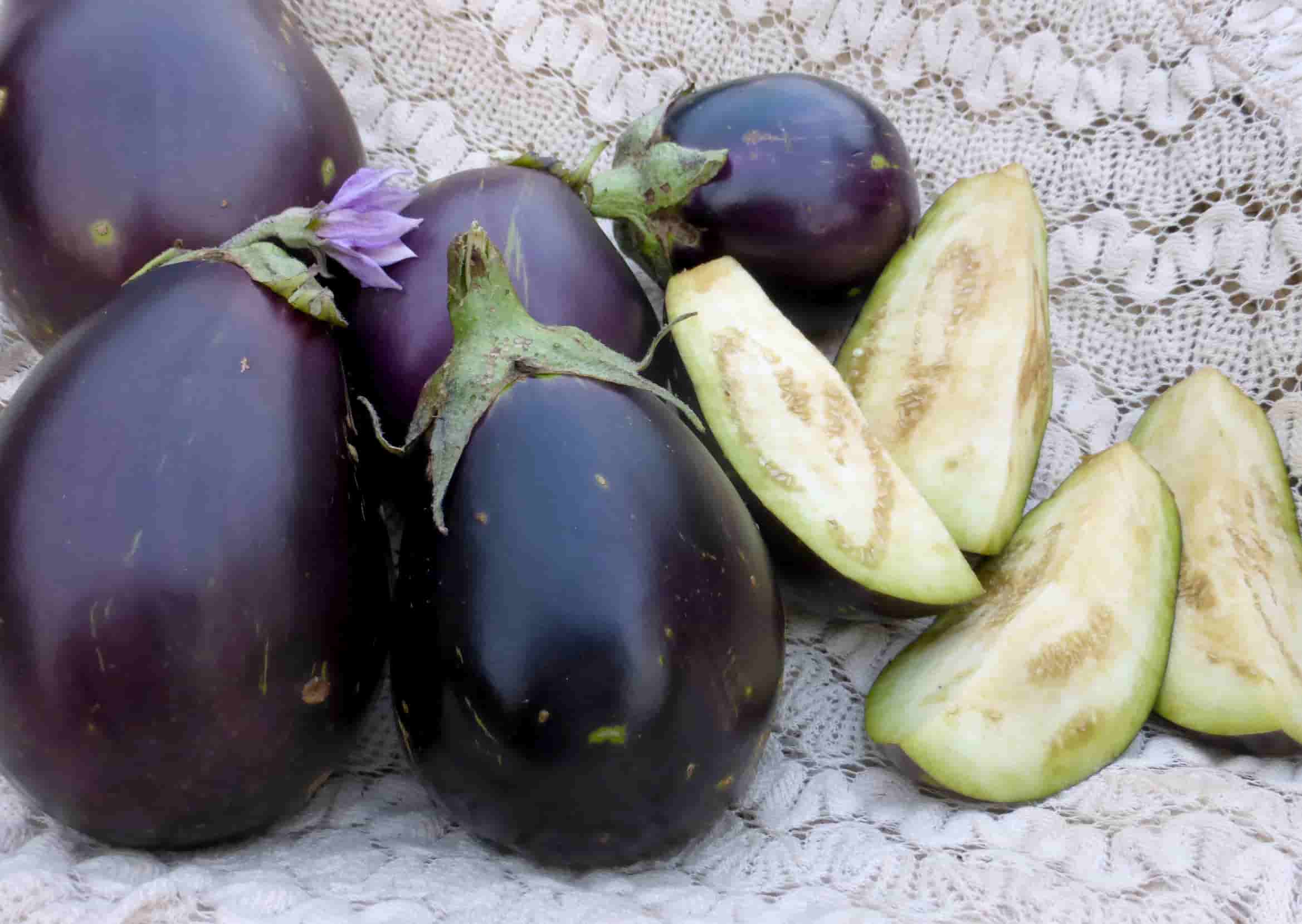 organic-eggplants-4