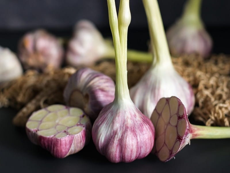 bigstock-Fresh-Garlic-Garlic-On-A-Blac-300706837-e1586873719630