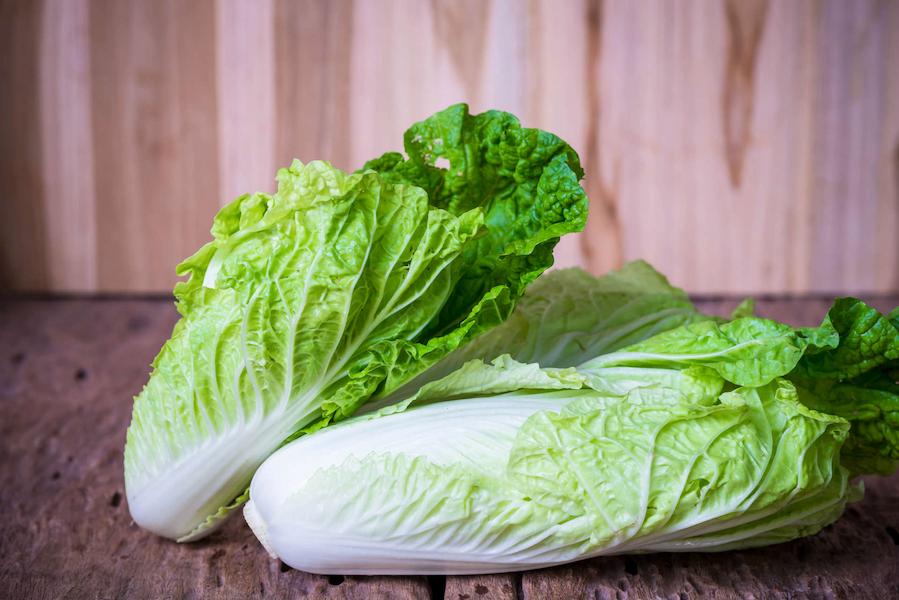 Product-Chinese-Cabbage1