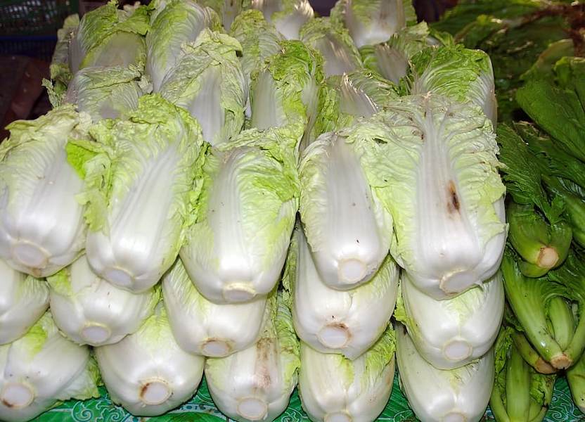 vegetables-chinese-cabbage-pe-tsai-salad