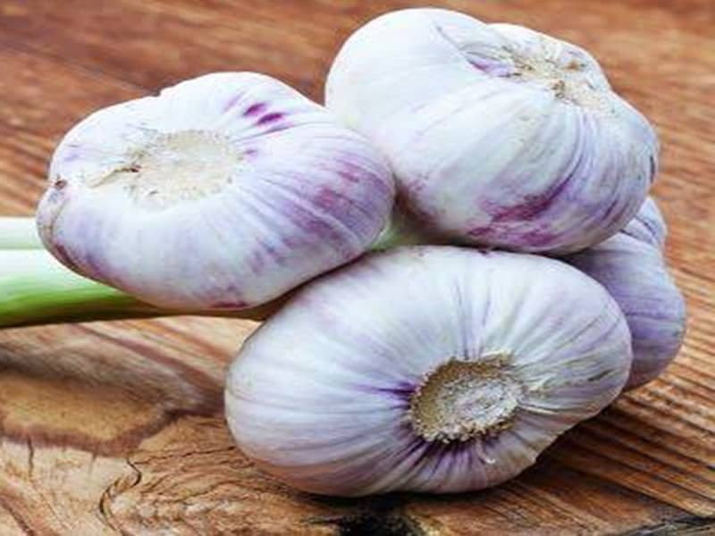 562-good-quality-natural-red-and-white-garlic-wholesaler-egypt-4